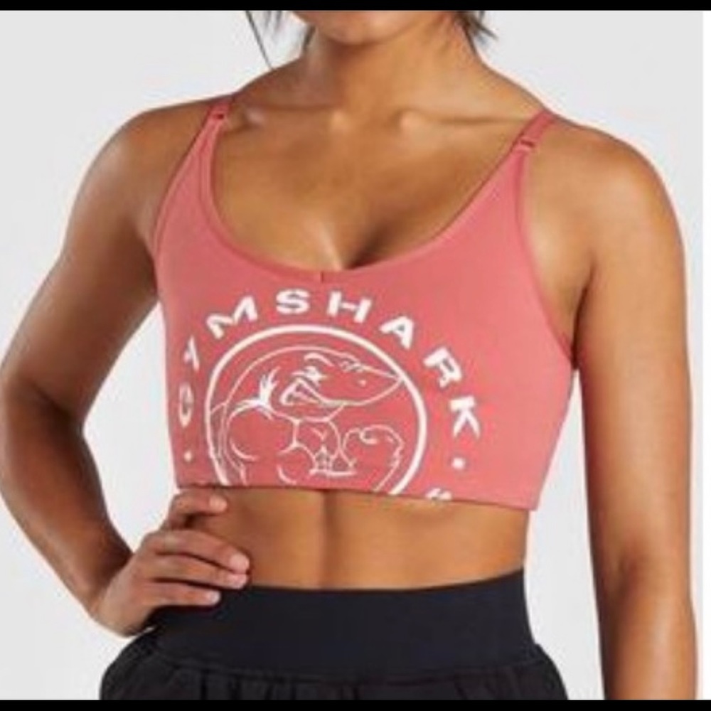 ISO BRICK RED LEGACY SPORTS BRA, Size Large